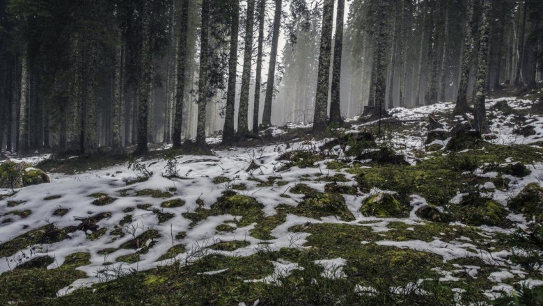 aba therapy service adult autism center aba therapist