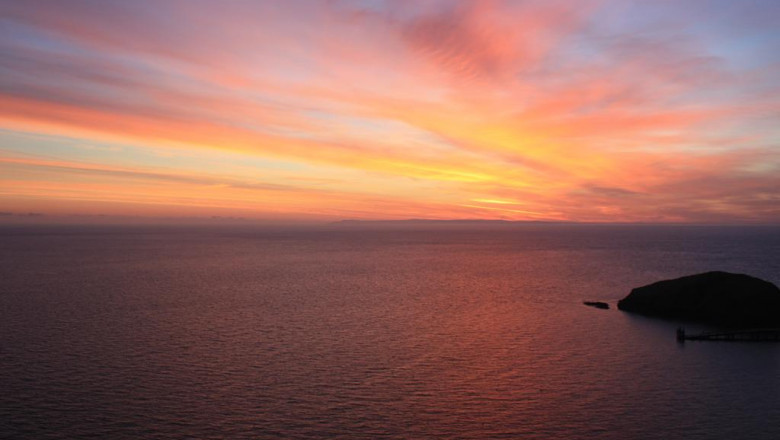 ask me anything 10 answers to your questions about olosome phorma maure