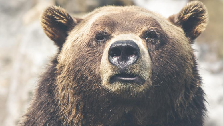 how the 10 worst divorce fails of all time could have been prevented