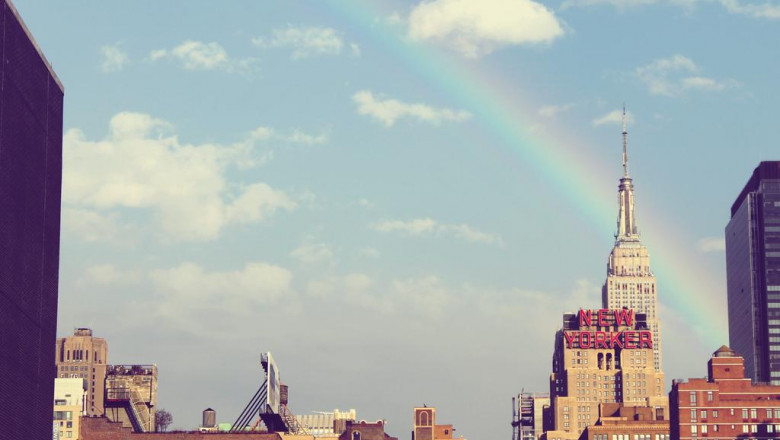 mobile wood terminated pizza stove wppo le peppe 1 seller