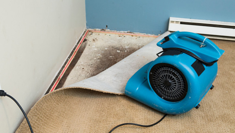 3 Factors You Need To Consider Before Hiring An Orlando Water Damage Restoration Service: