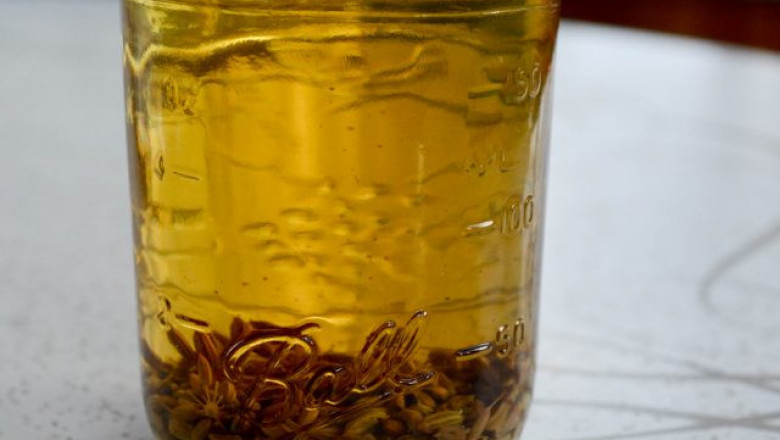 Anise Extract Market 2022 Size, Key Players & Forecast Report to 2028