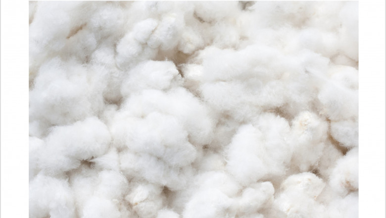 France Cotton Market (2022-2028) | Forecast, Share & 6Wresearch