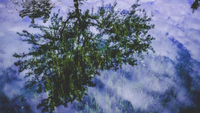 knife blades and dangerous edges feng shuis poison arrows