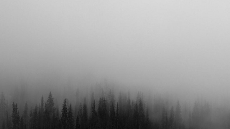 myogrodzenia akustyczne interesting blog 9562