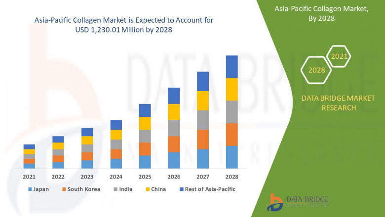 Research Methodology: Asia-Pacific Collagen Market 2022-2029