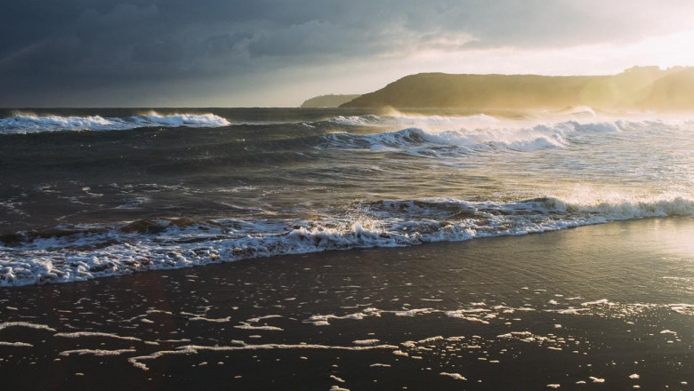 the ogrodzenia plastikowe nice blog 9671