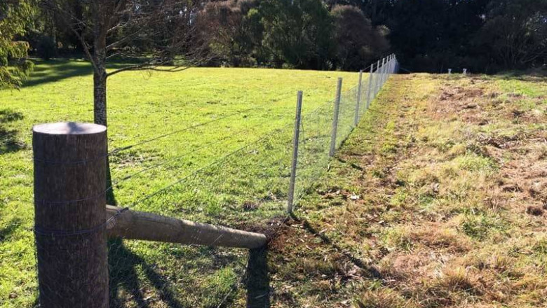 Top Four Benefits Of Professional Hedge Trimming