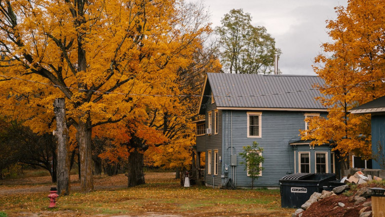 10 Golden House You Should Definitely See