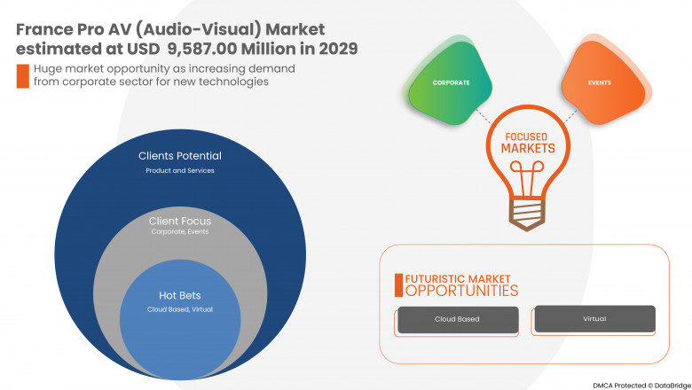 France Pro AV (Audio-Visual) Market Forecast, Trend Analysis, and Competition Tracking