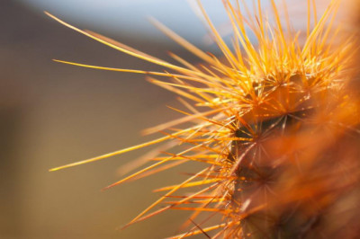 the best kept secrets about brampton immigration consultancy jobs ts immigration consultant brampton