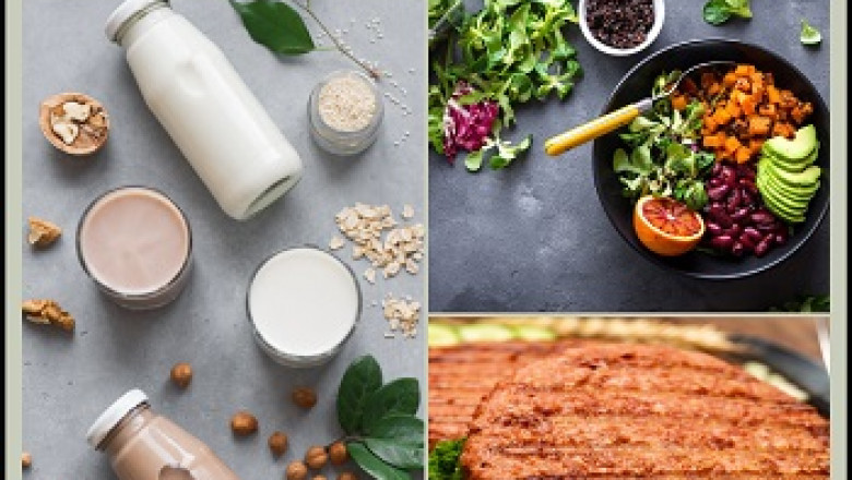 Global Plant-based Food and Beverages Market, Forecast 2022-2028