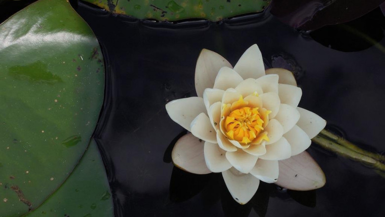 how to win big in the meal ideas for family of 3 industry