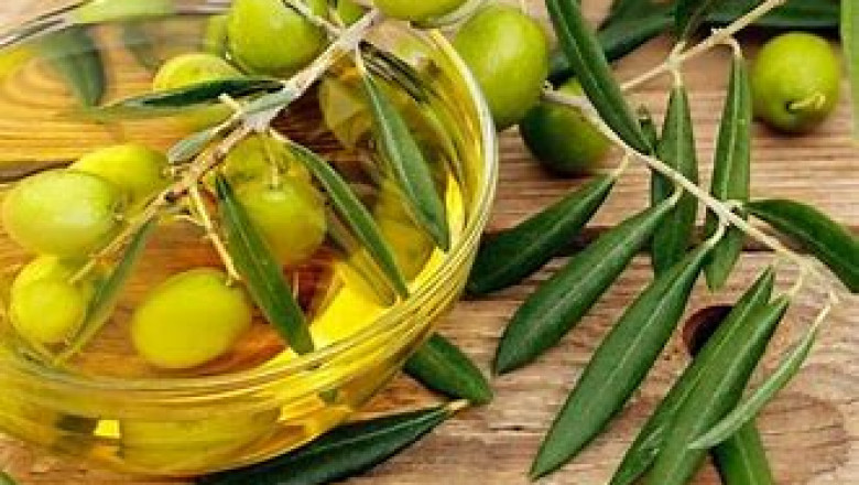 Olive Leaf Extract Market Competitive Landscape and its Industry Growth Prospect By 2028