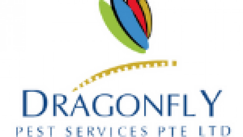 Pest Control Company in Singapore | Dragonfly