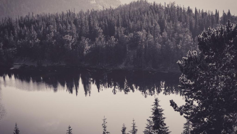 10 things steve jobs can teach us about low cost galtech umbrellas