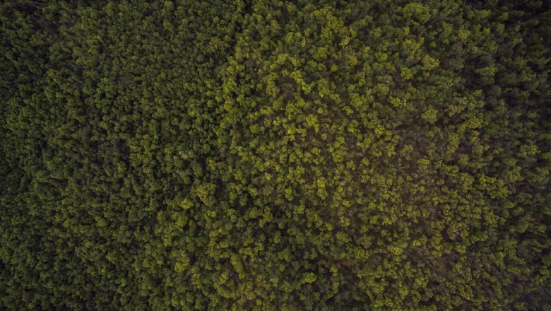 20 best tweets of all time about air conditioning specialists gold coast