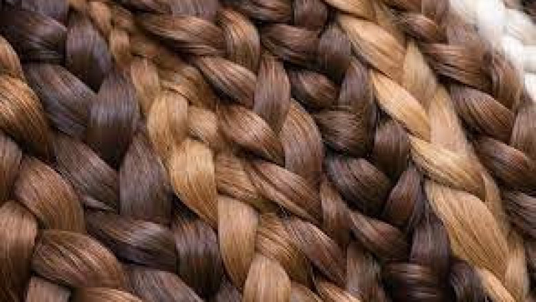 Best Refrigerator Repair Company in Romeoville