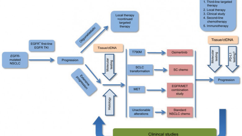 EGFR-TKI for Advanced NSCLC Market | Global Opportunity, Growth Analysis And Outlook Report upto 2027