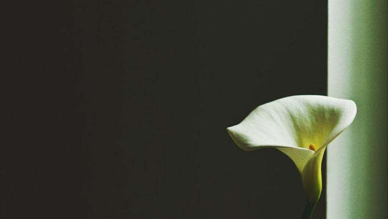 emergency shoreline breakwall