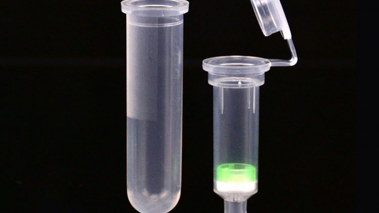 Genome or plasmid DNA can be extracted from a sample by nucleic acid isolation and purification (NAIP) for research purposes