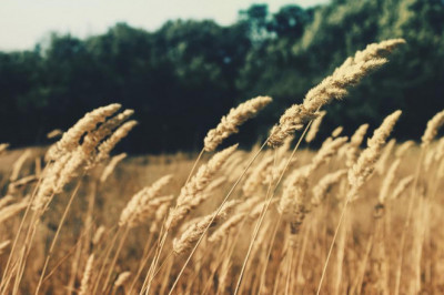 household cleaner work description design template