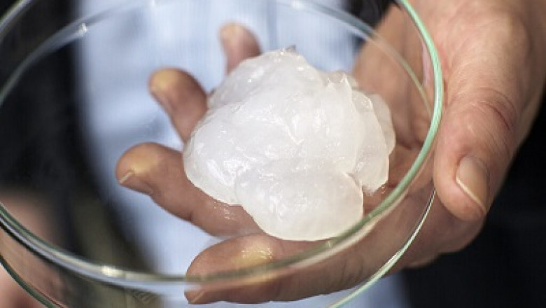 Nanocellulose Market Size, Share, Growth, Major Players, Analysis and Forecast to 2028