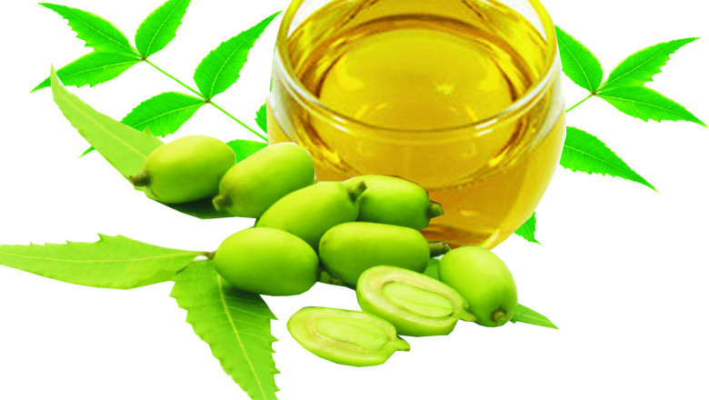 Neem Extracts A Organic Product Used In Folk Medicine For Generations To Treat Skin Disorders