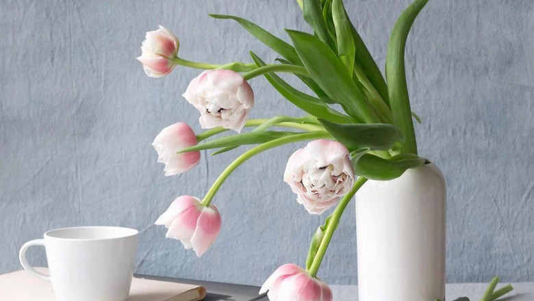 Plants speak: Responding with vibrations