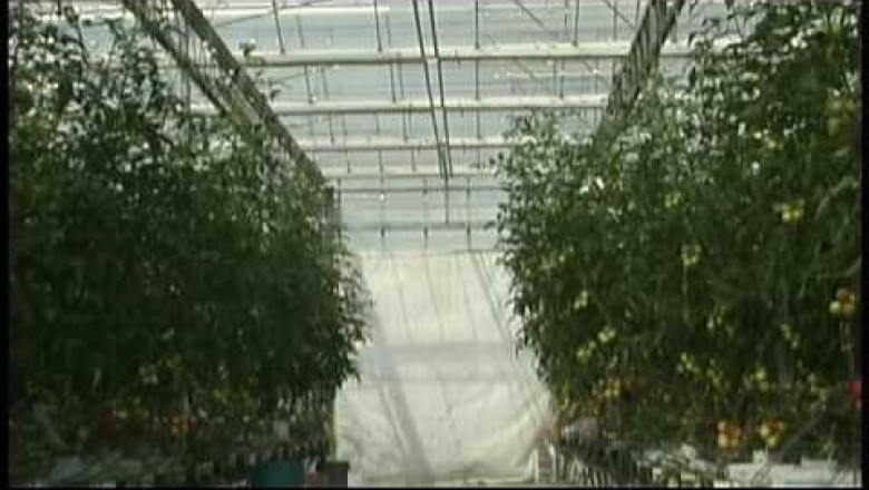 Riococo 300 Grow Bags