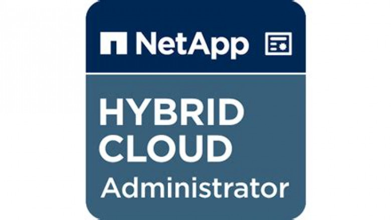 NS0-303 Exam Fragen - NS0-303 Übungsmaterialien, NS0-303 Buch