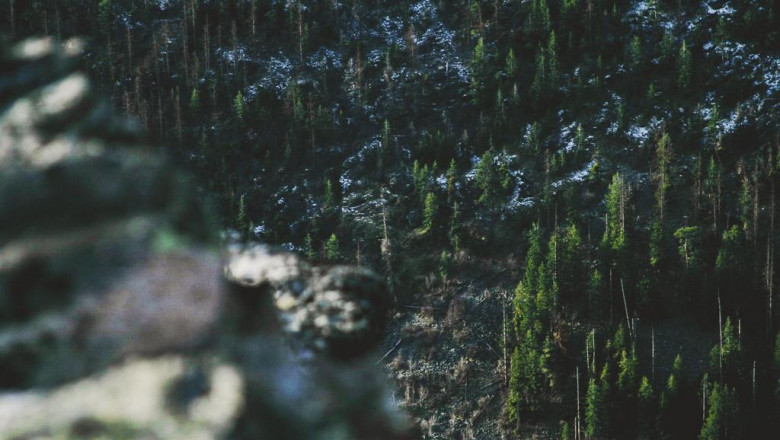 spring cleaning proper bird taking good care of your backyard