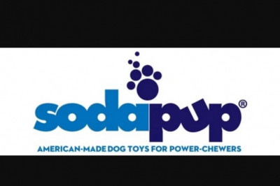 Techniques for Deciding on the best Dog Toys for your personal Pet