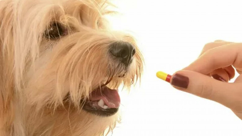 Animal Parasiticides Market Product Type, By Formulation Type, By Animal Type, By Distribution Channel
