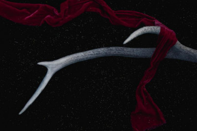 bus rental dubai 10 things everyone hates about bus rental sharjah