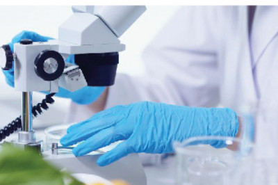 Challenges in Indian Nutraceutical Product Development