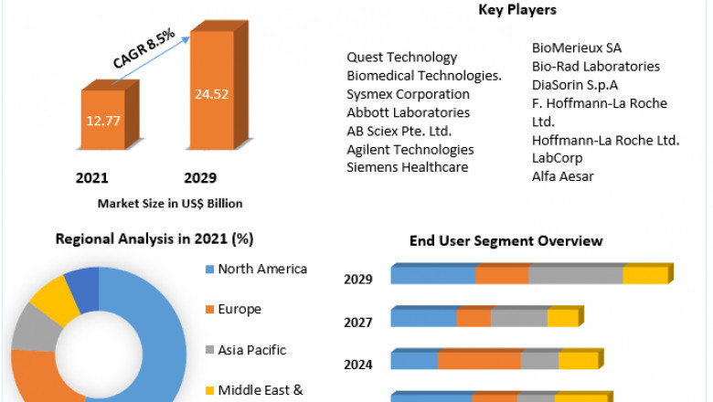 Endocrine Testing Market Size, Share, Trends, Analysis, Competition, Growth Rate, and Forecast 2029