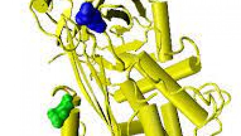 Global Antithrombin Market Report, Latest Trends, Industry Opportunity & Forecast to 2028