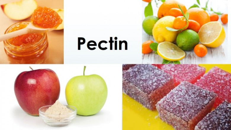 Pectin Market Elaborate Analysis with Growth Forecast To 2028