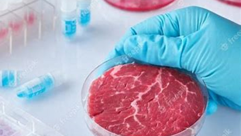 Artificial Meat Market Analysis, Forecast Report to 2028