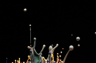 Austin Museum of Art