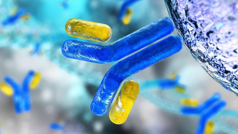 Monoclonal Antibodies Can Currently Be Generated Nearly Against Any Antigen