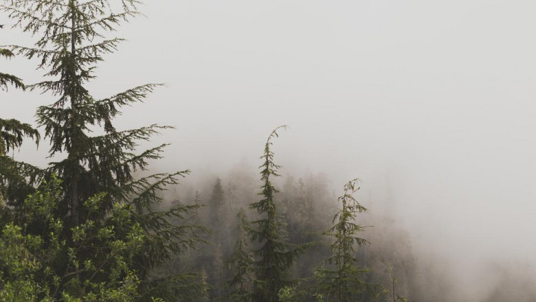 six business technologies really dont work