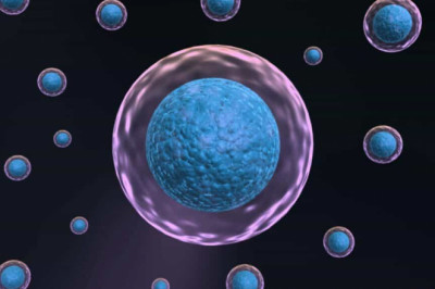 Stem Cell Therapy Clinic in Chicago | Giostar Chicago