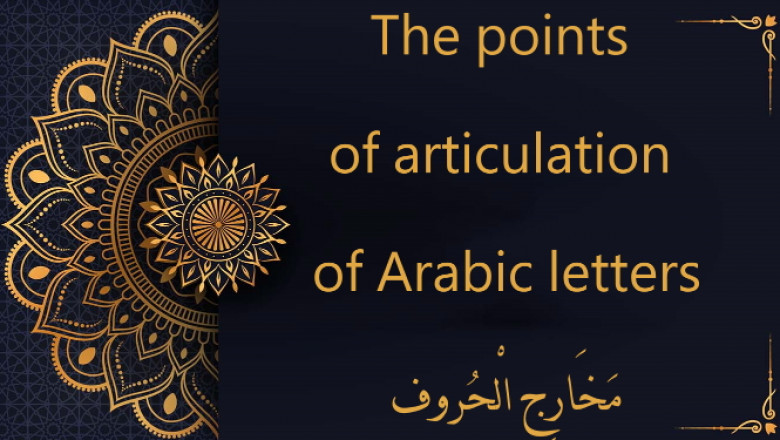The Significance of Learning Languages