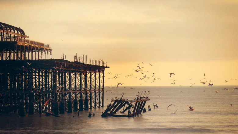 weight loss foods in order to eat exactly what to avoid