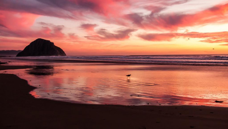 17 superstars wed love to recruit for our eskort athena team