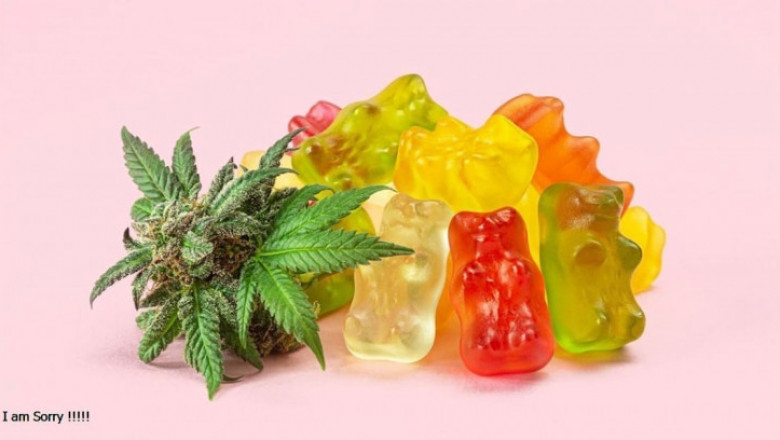 CBD Gummies Market 2022 Size, Dynamics & Forecast Report to 2028