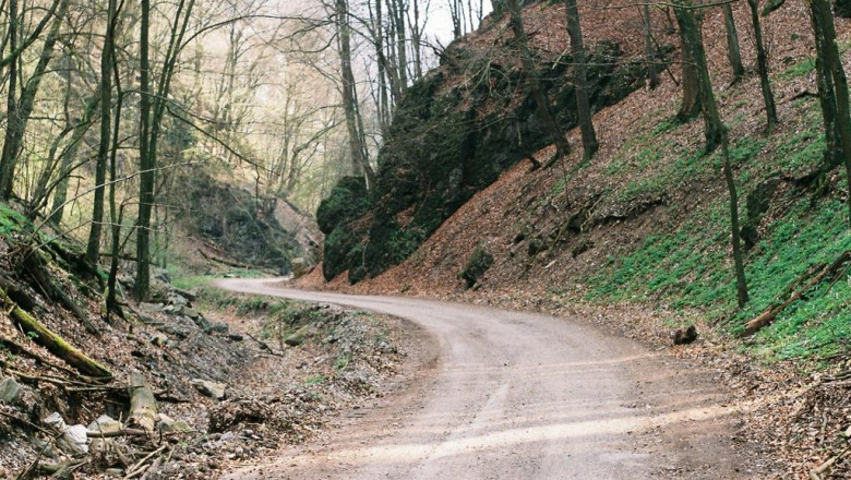 how to win big in the narrow dining table for small spaces industry