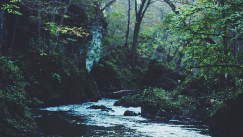 web marketing an appearance into the crystal ball